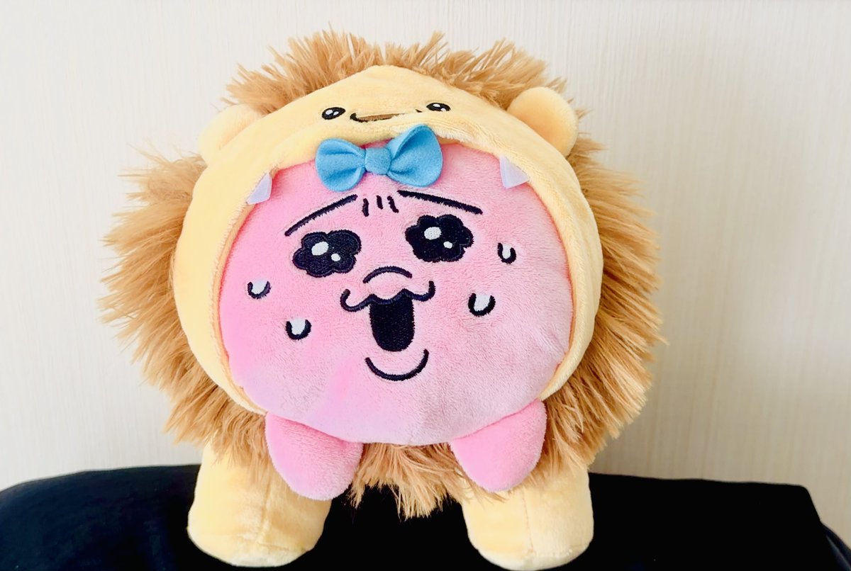 でかんちゅ🩷🩵💛 tweet media