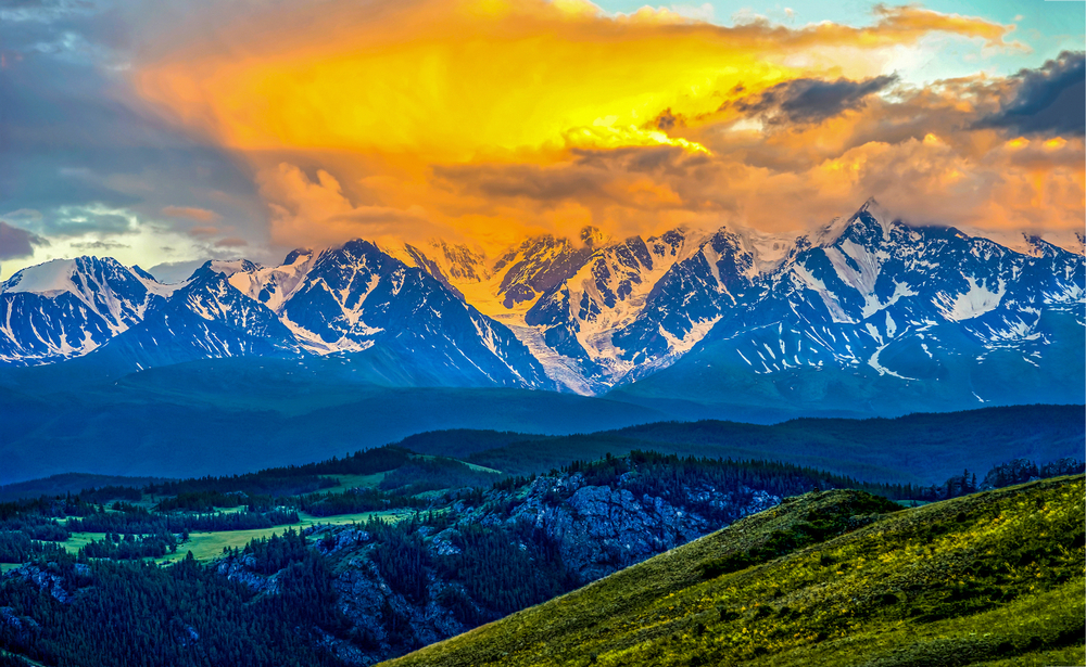 BethFratesMD's tweet image. "One touch of nature makes the whole world kin."  William Shakespeare 💛

#FridayThoughts #quote #FridayVibes