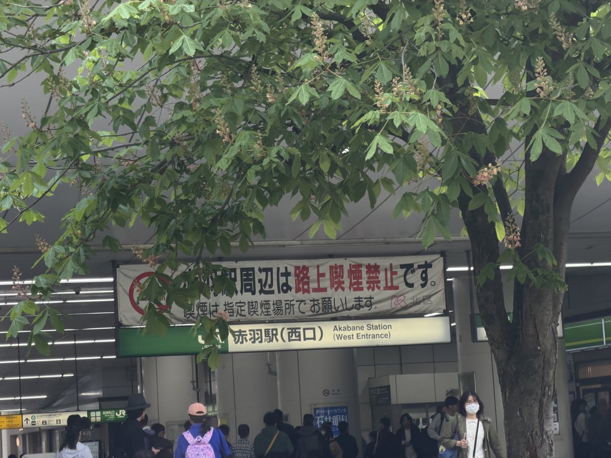 ミサ☆ボクロ tweet media