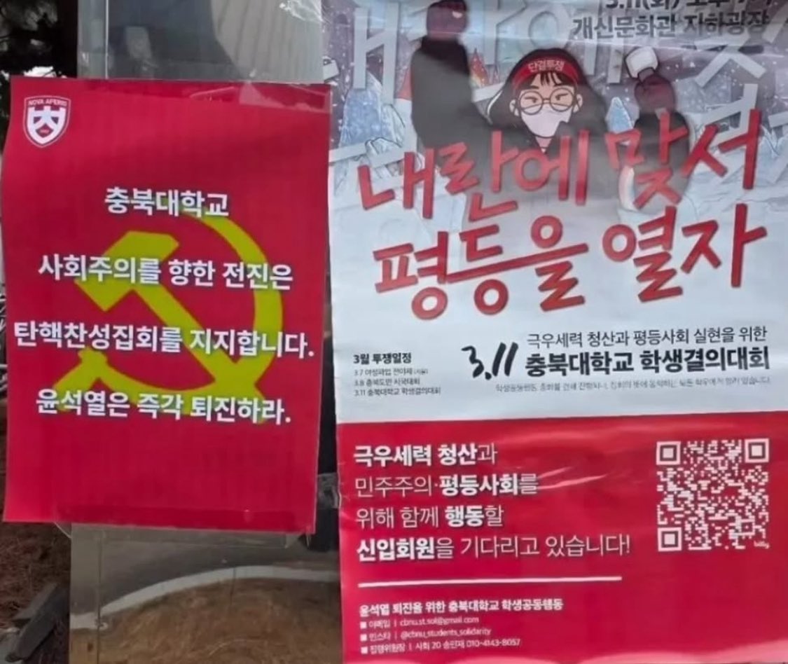 celeste 🇰🇷🇺🇸 tweet media