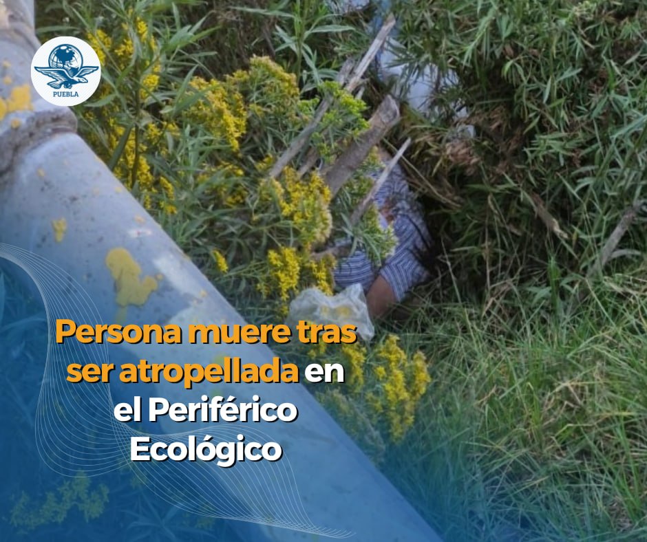 El Universal Puebla tweet media