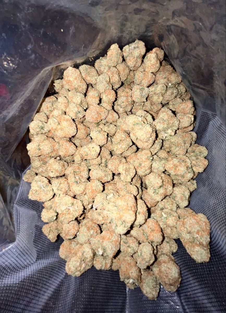 Smartweed🍃👻 tweet media