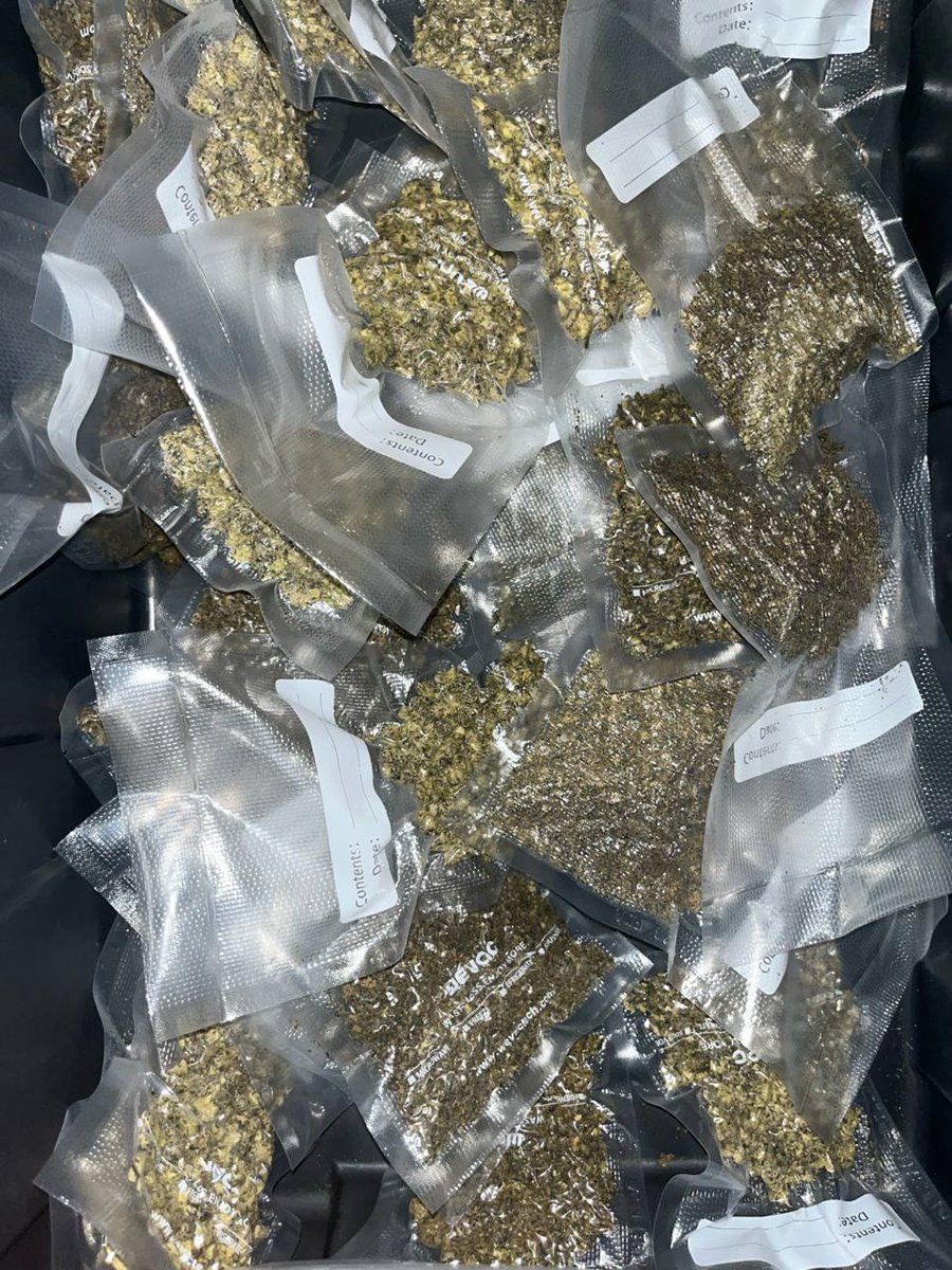 Smartweed🍃👻 tweet media