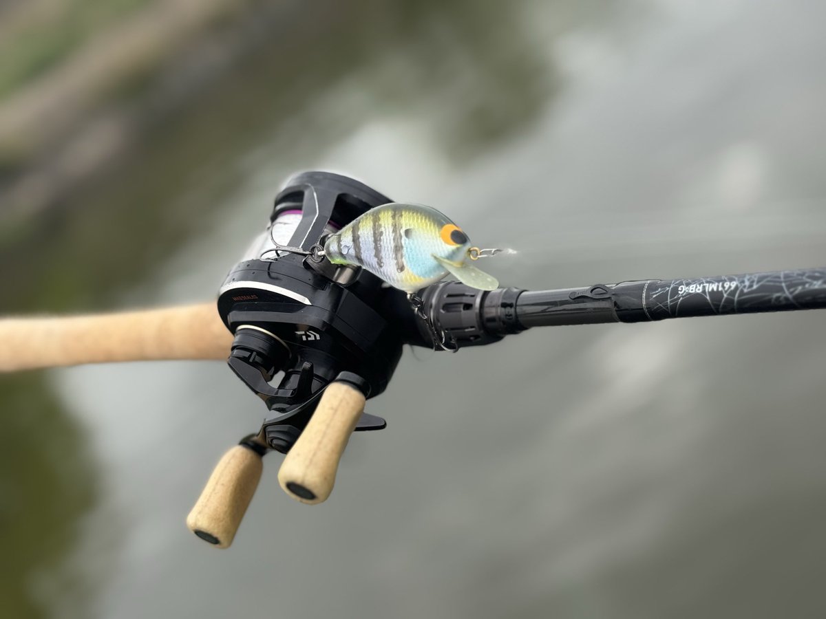 北大祐 tweet media