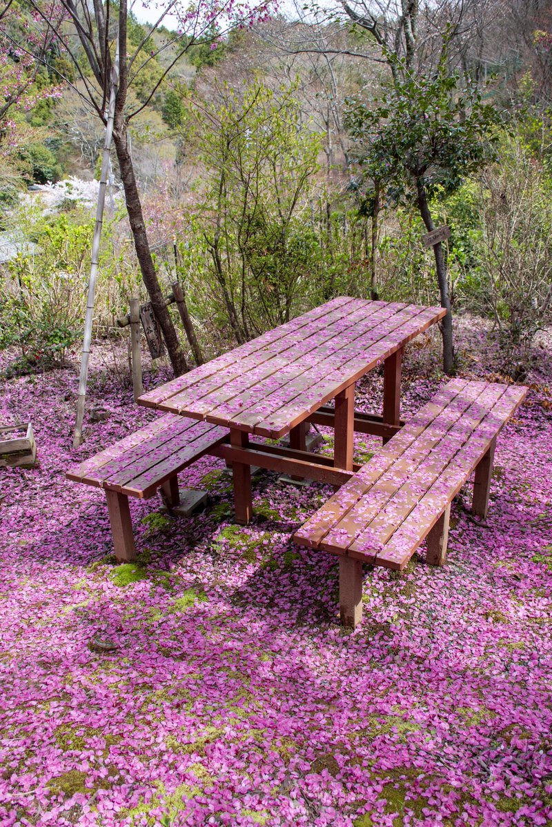 K.slopebook（もっつ） tweet media