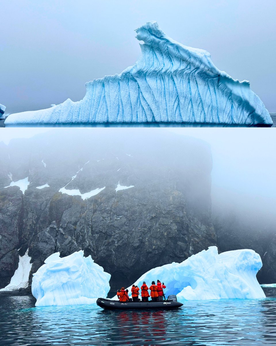 Lindblad Expeditions tweet media