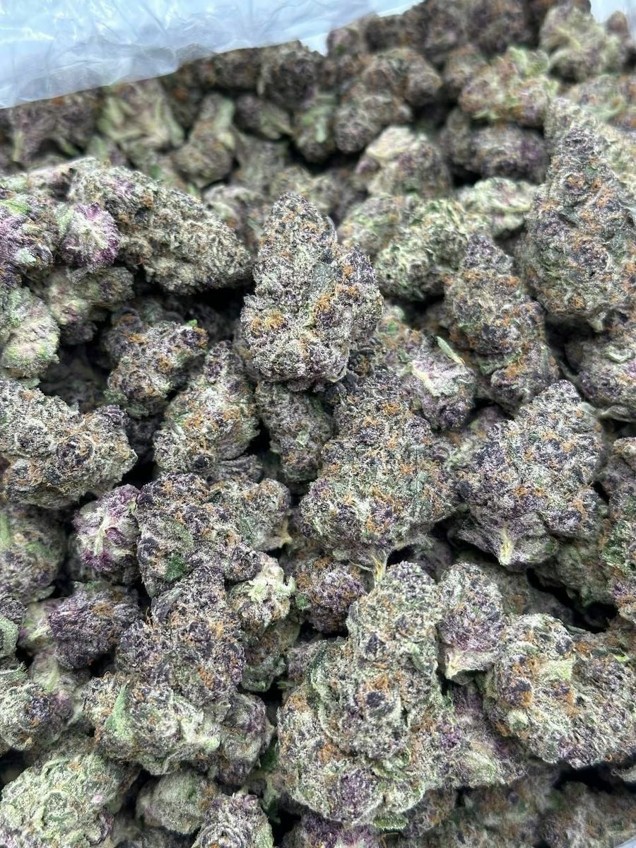 Smartweed🍃👻 tweet media