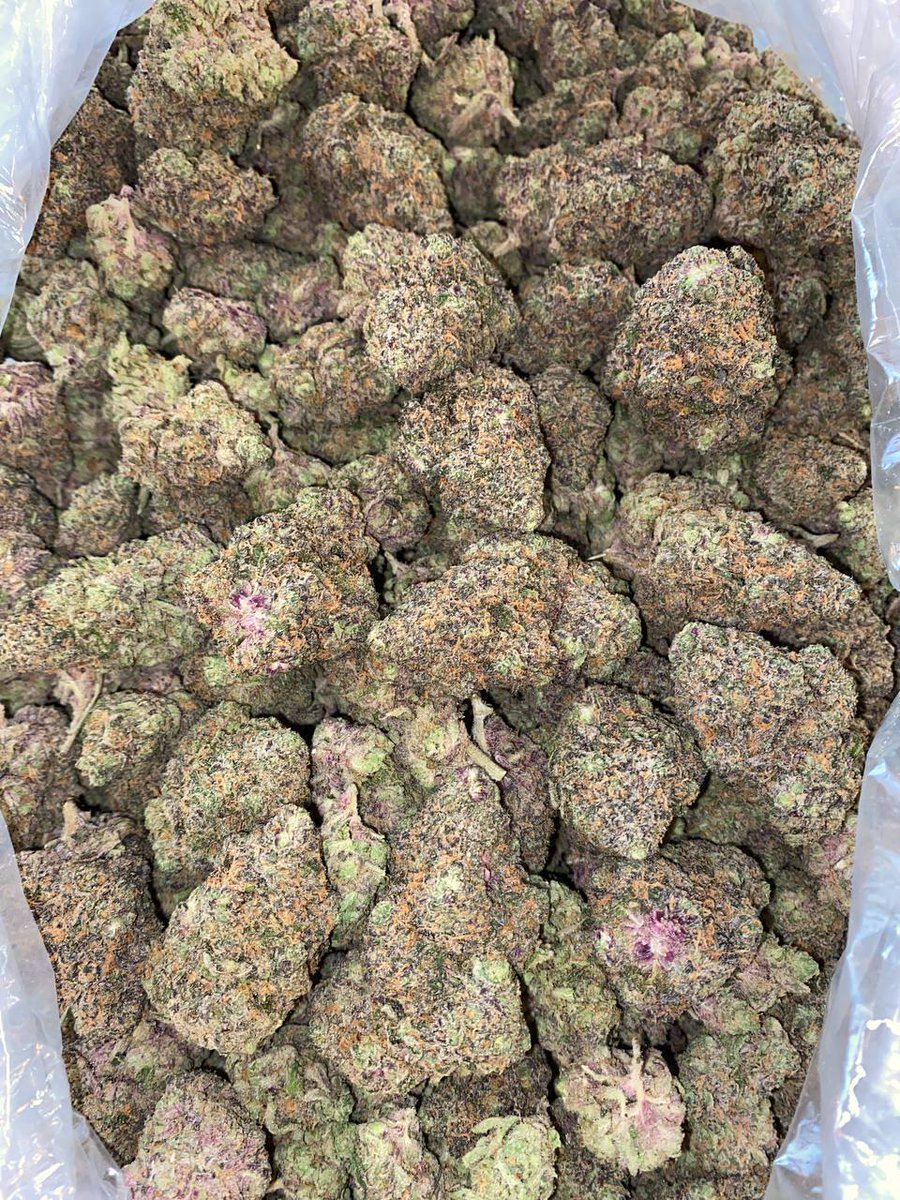 Smartweed🍃👻 tweet media