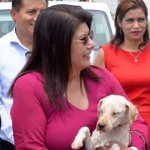 Photo by Animales Perdidos (@AnimalesPerdid2)