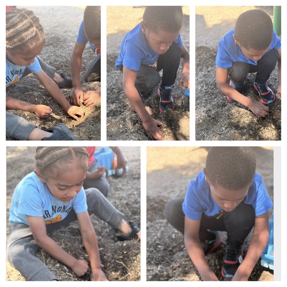 RCAELCPAT's tweet image. “Curiosity led the way today—two young explorers discovered roots beneath the soil and sparked a great learning conversation 🌱”

#ScienceForKids #EarlyLearning #dph #pat #NatureStudy #InquiryBasedLearning #OutdoorClassroom #YoungExplorers #LearningInAction #EarthExplorers