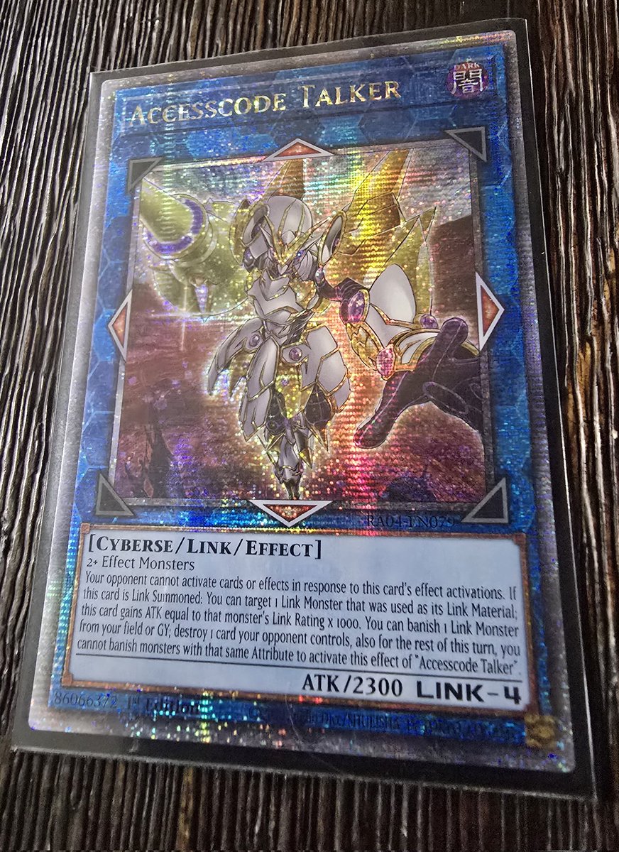 Dia Kurosawa ➡️ YCS Columbus tweet media