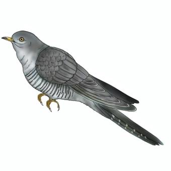 トイギャラリー サイハティ　https://saihaty.com tweet media