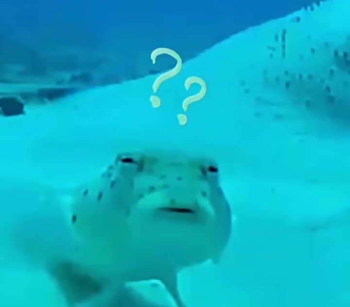 Glorycakes tweet media