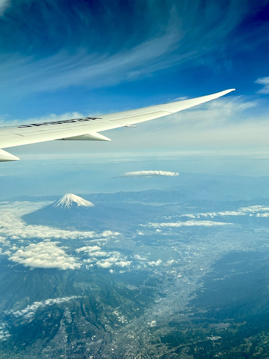 小麦粉 tweet media