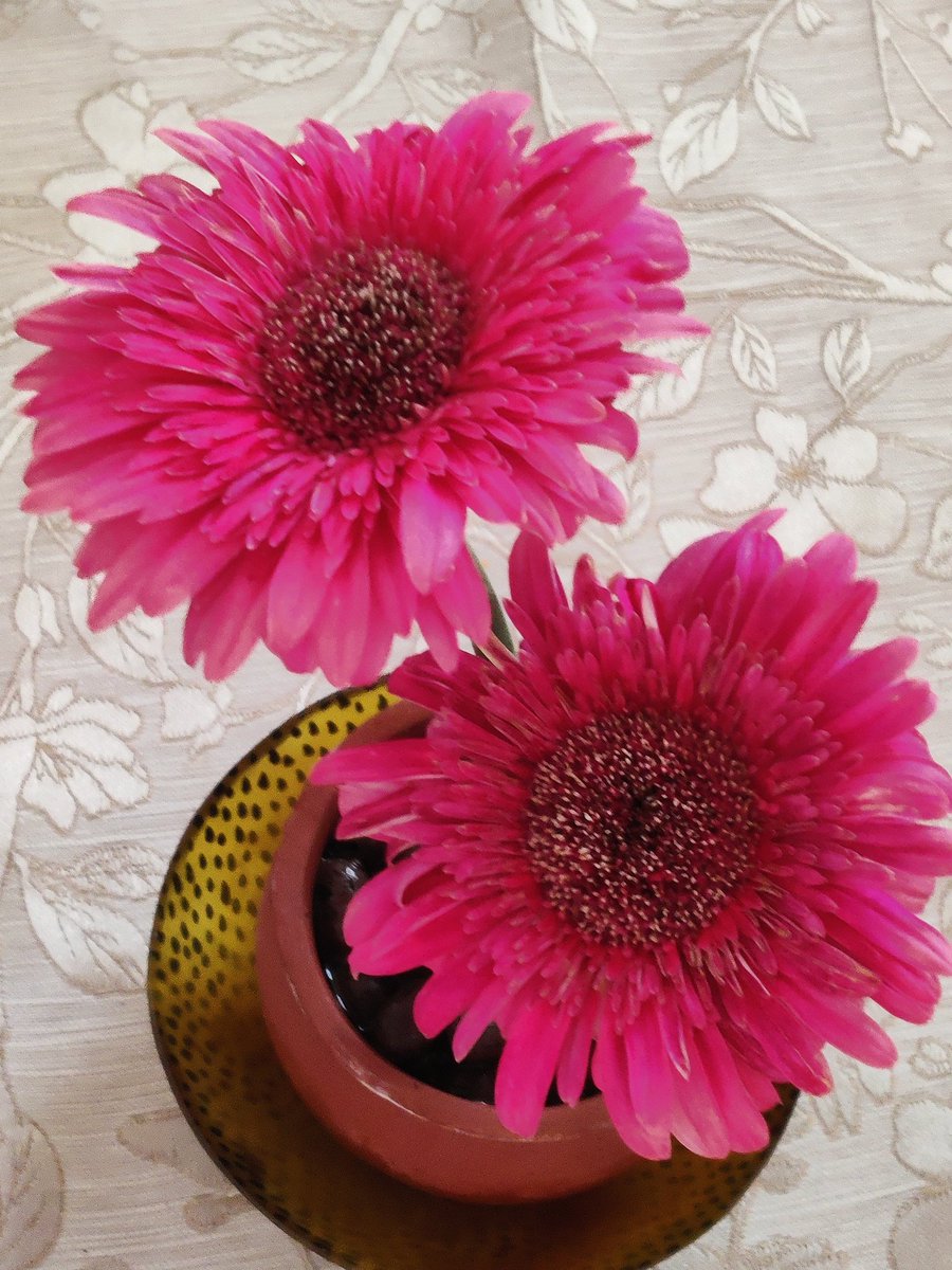 muralidharan,K tweet media