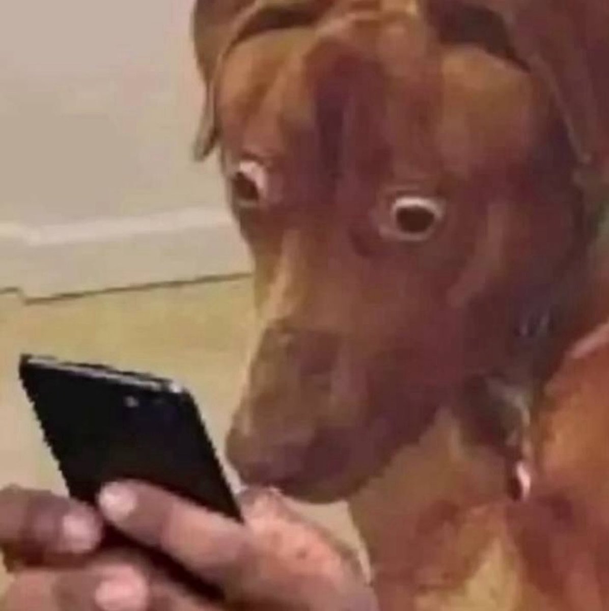 Slurp&Durp tweet media