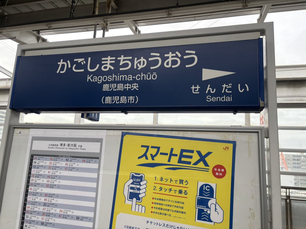 くろっぴ🐸 tweet media