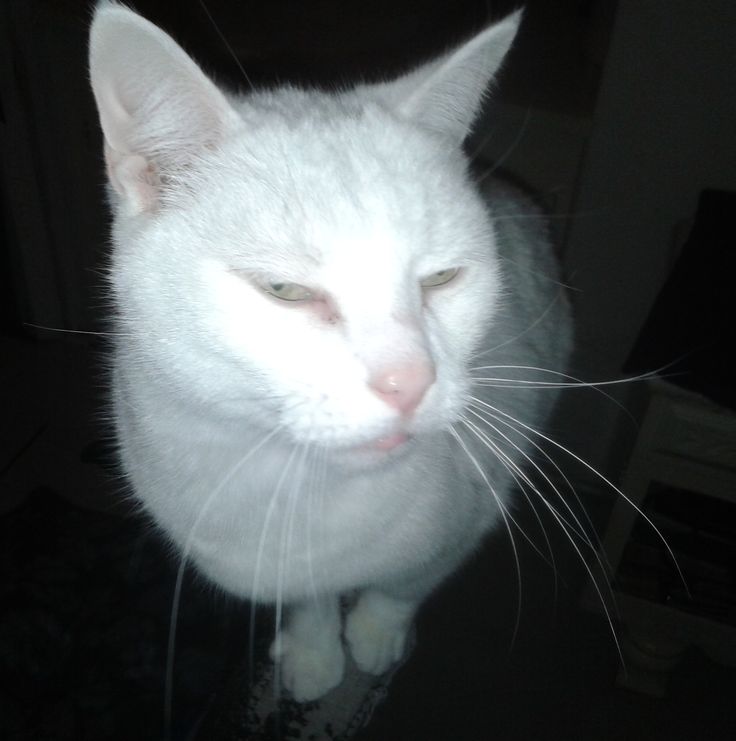 isah ❤️‍🔥 tweet media