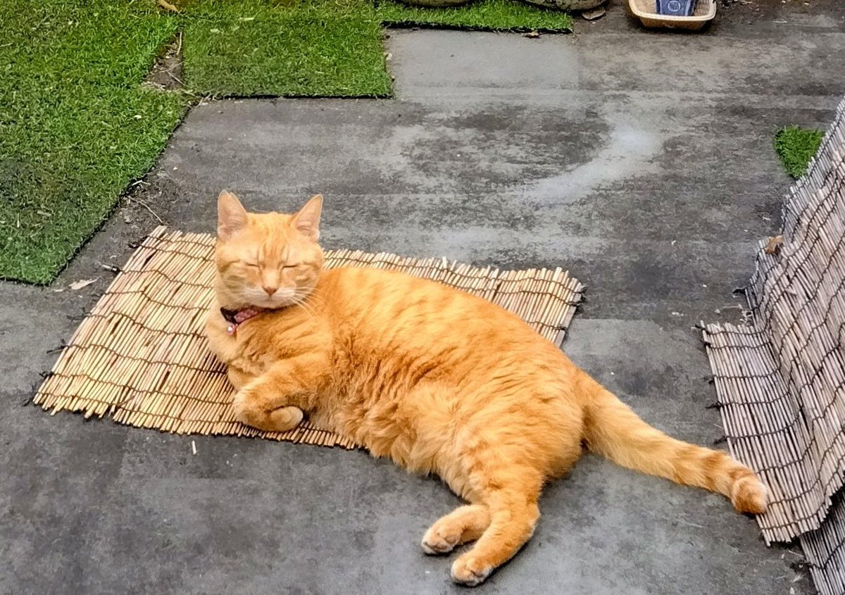 uzu (@uzu66913891) on Twitter photo 