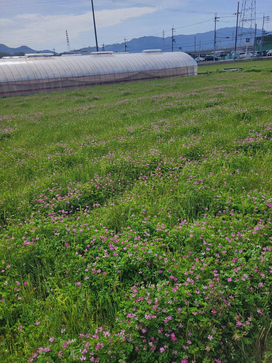 朝から次女の大学進学関係の説明会。
車ＮＧなので、自転車移動🚴‍♀️約20分
😮‍💨
普段乗らんからオシリ痛いww