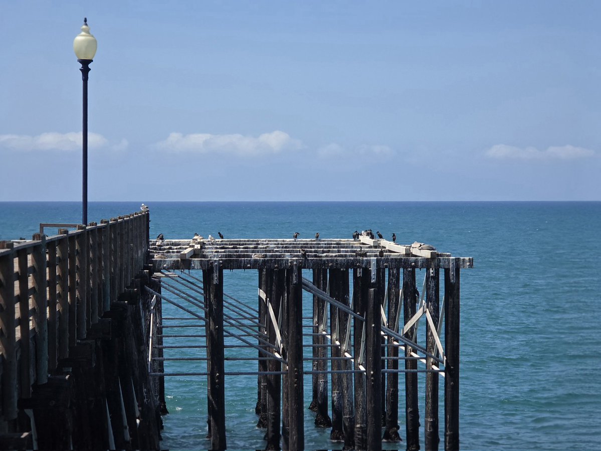 Blue Capsule⚠ tweet media