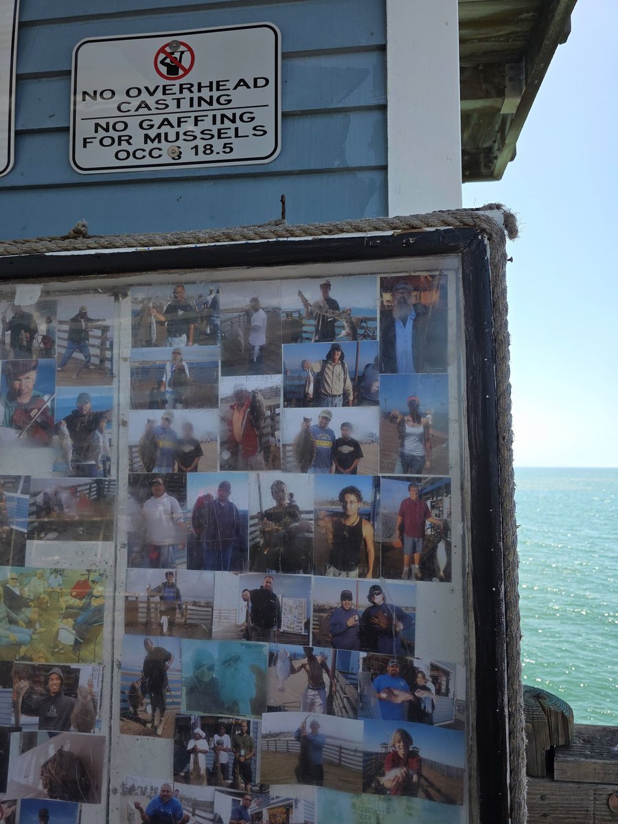 Blue Capsule⚠ tweet media