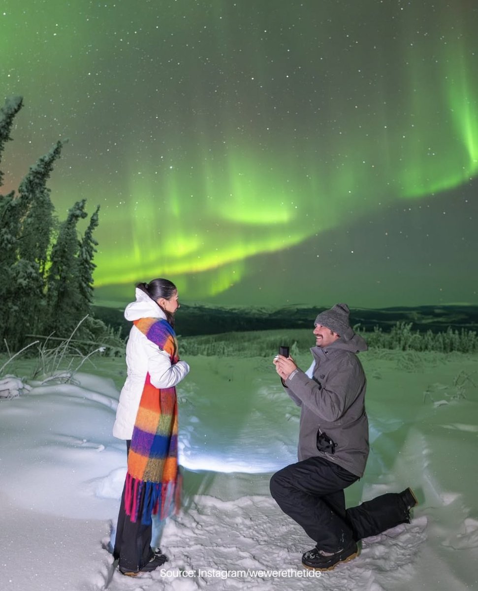 folkative tweet media