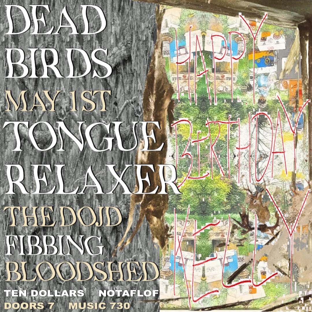 birds fear death tweet media