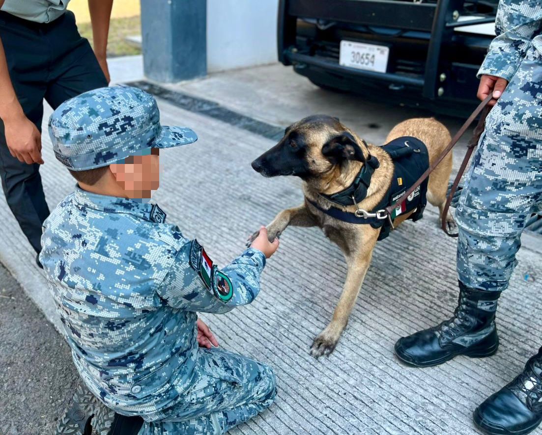 Santiagod181281's tweet image. Cristian Gael, de 9 años de edad, es designado como Guardia Nacional Honorario en #Colima.
#GraciasHeroesMexicanos