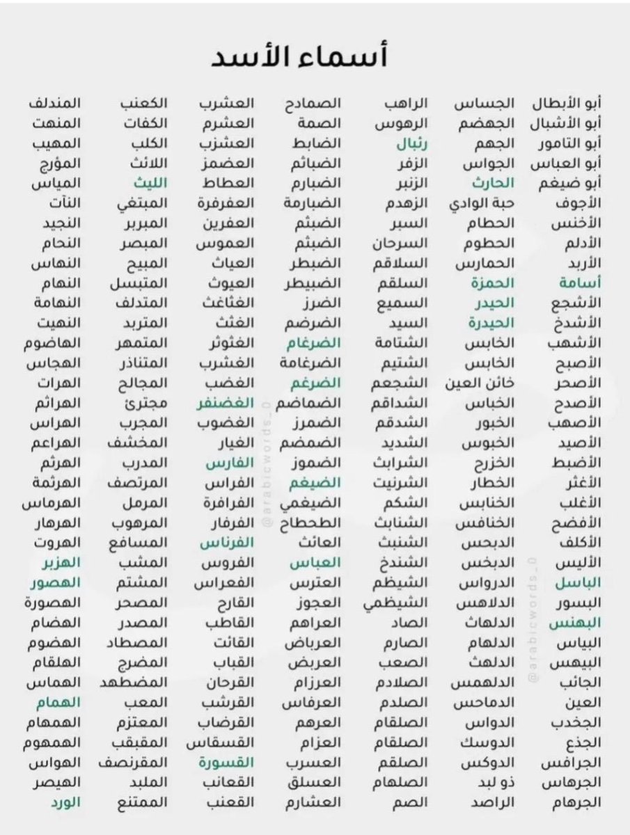 بومحمد tweet media