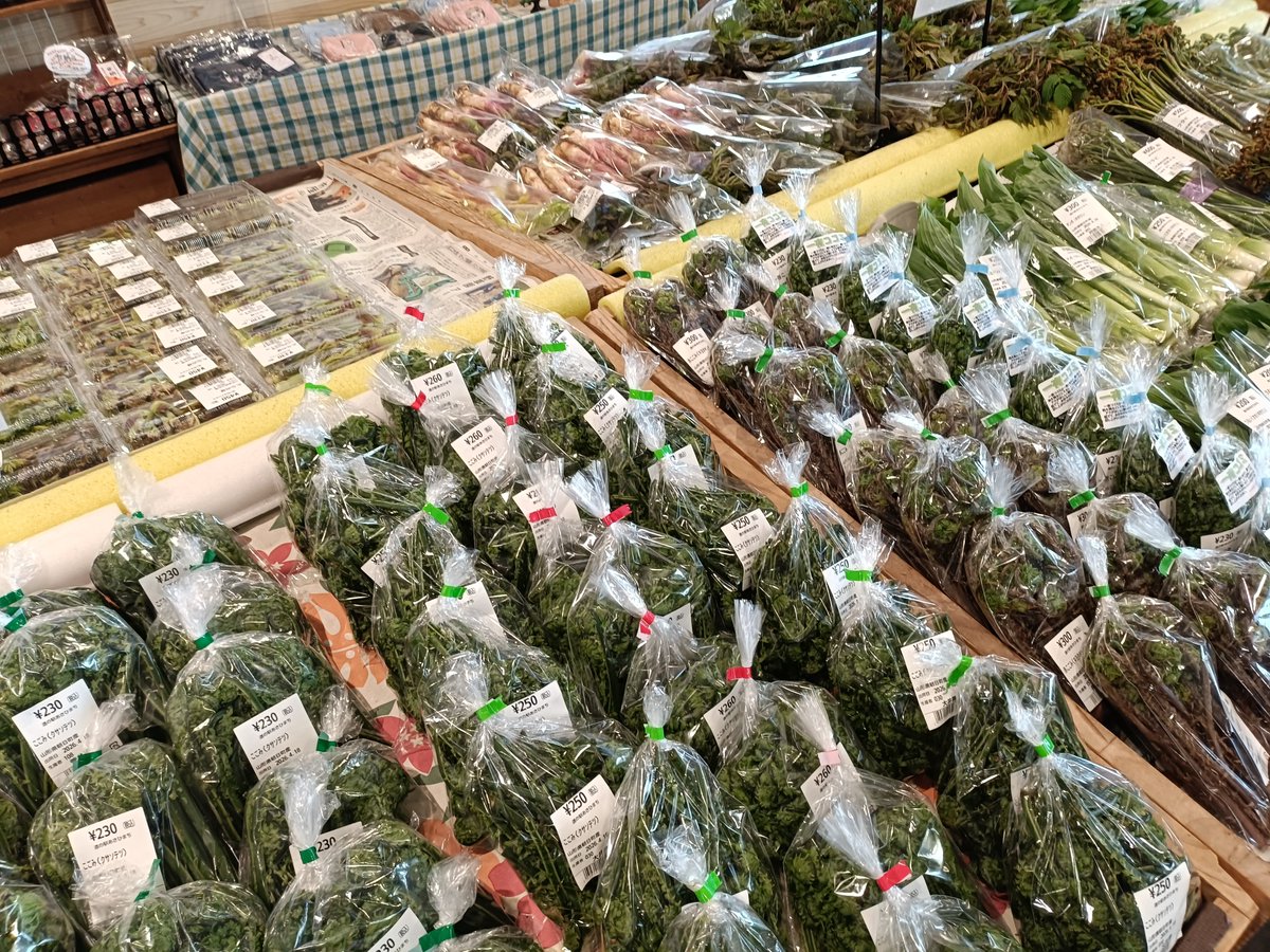 山菜が急に増えました!! 今年は全体的に早めでしょうかね。間もなくワラビも始まると思います。

#道の駅あさひまち #りんごの森 #山形県朝日町 #山菜