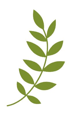 Taylor Porter tweet media