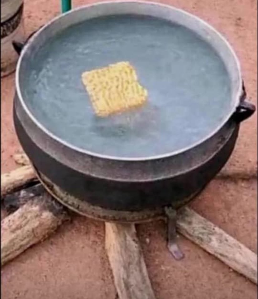 THE FORTUNE GOD 🔮 tweet media