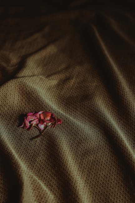 Nancy Ward tweet media