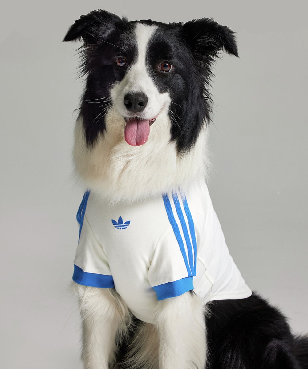 💡新作のお知らせ💡／ 【adidas】ペットアパレルコレクション🐶😺 服も