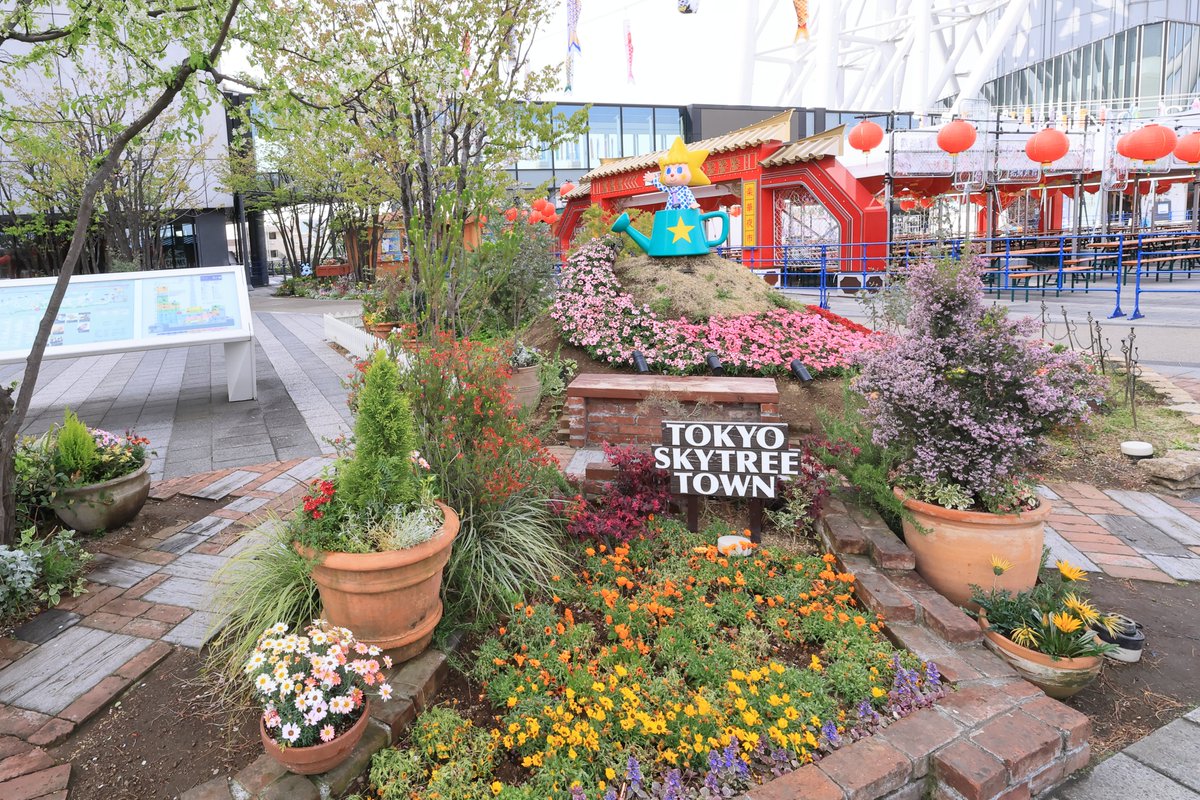 小松正晴 tweet media