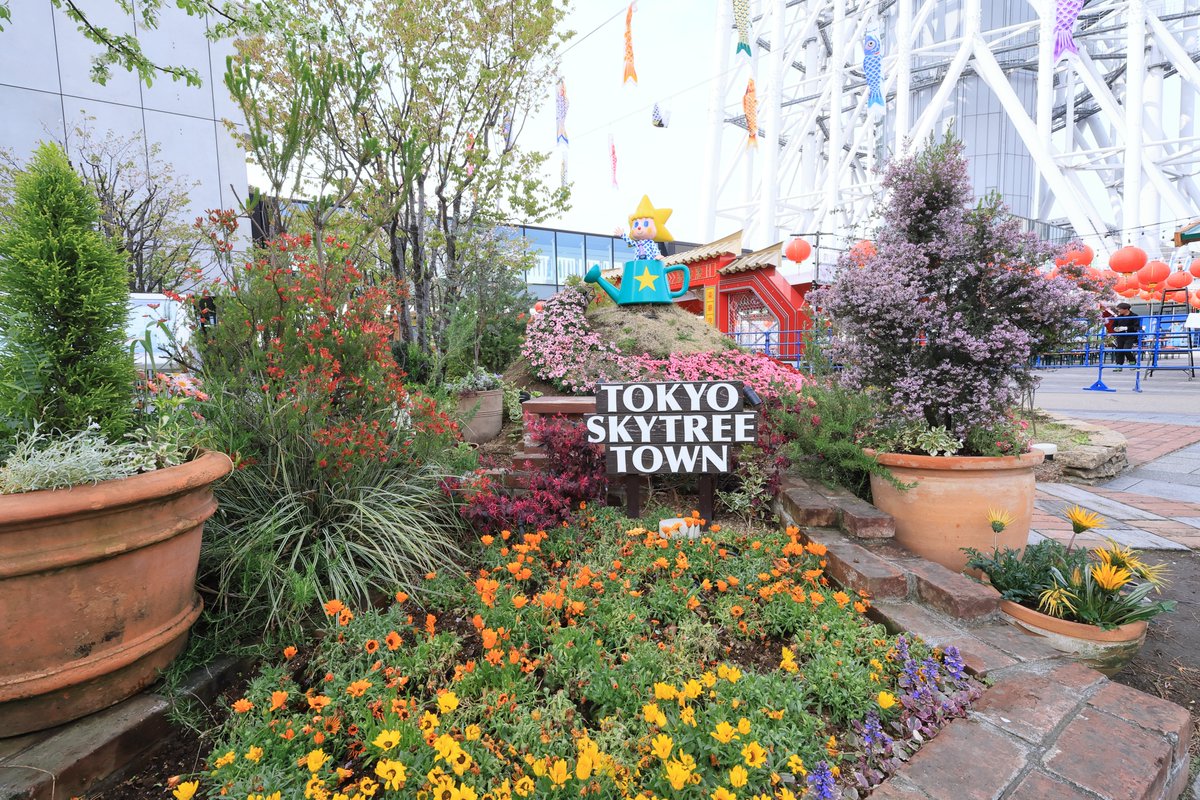 小松正晴 tweet media