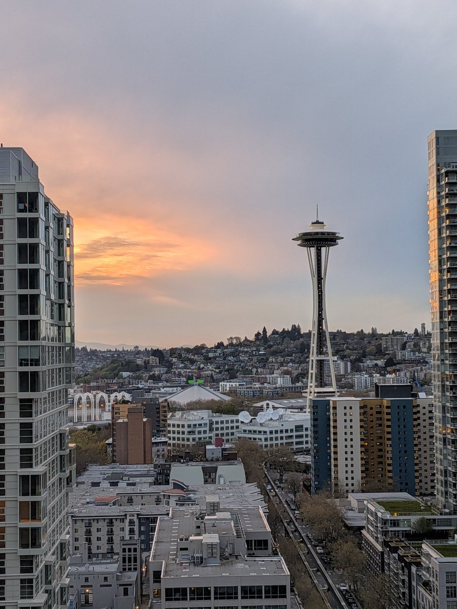 Ross Peterson tweet media