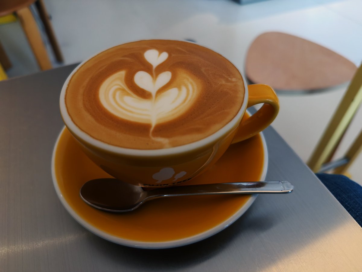 子茄 tweet media