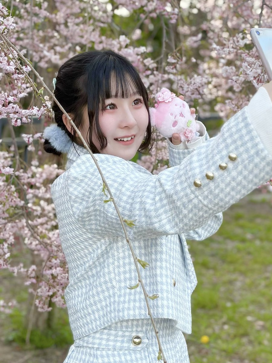 🦋まゆしぃ🦋 tweet media