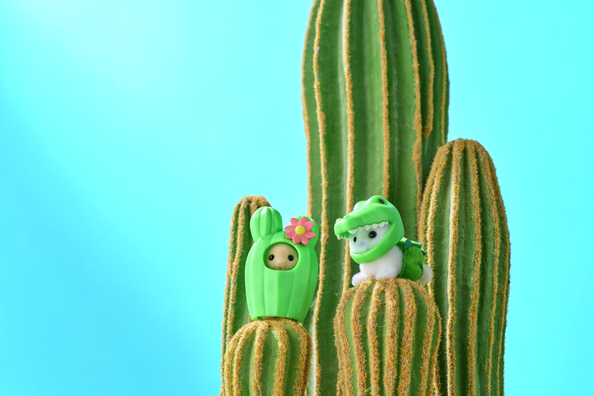 シルバニアファミリーオンラインショップ【公式】 tweet media