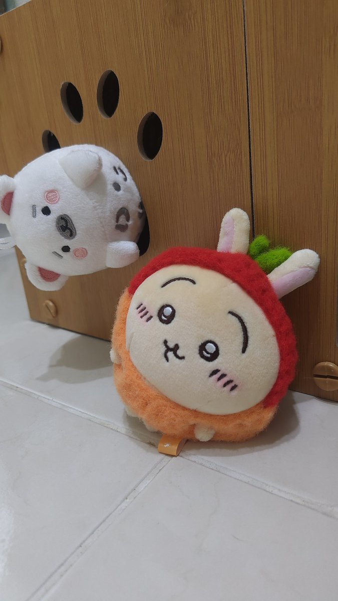 羊羊子 tweet media