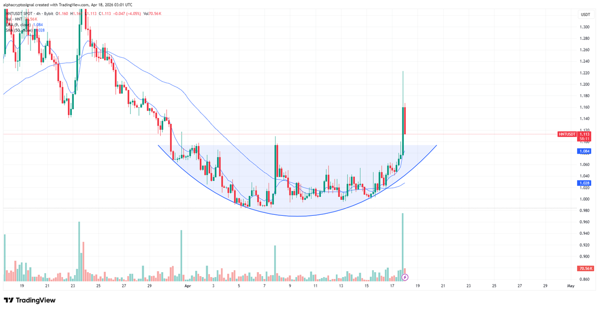 Alpha Crypto Signal tweet media