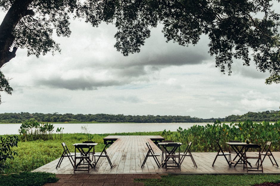 まおまお tweet media