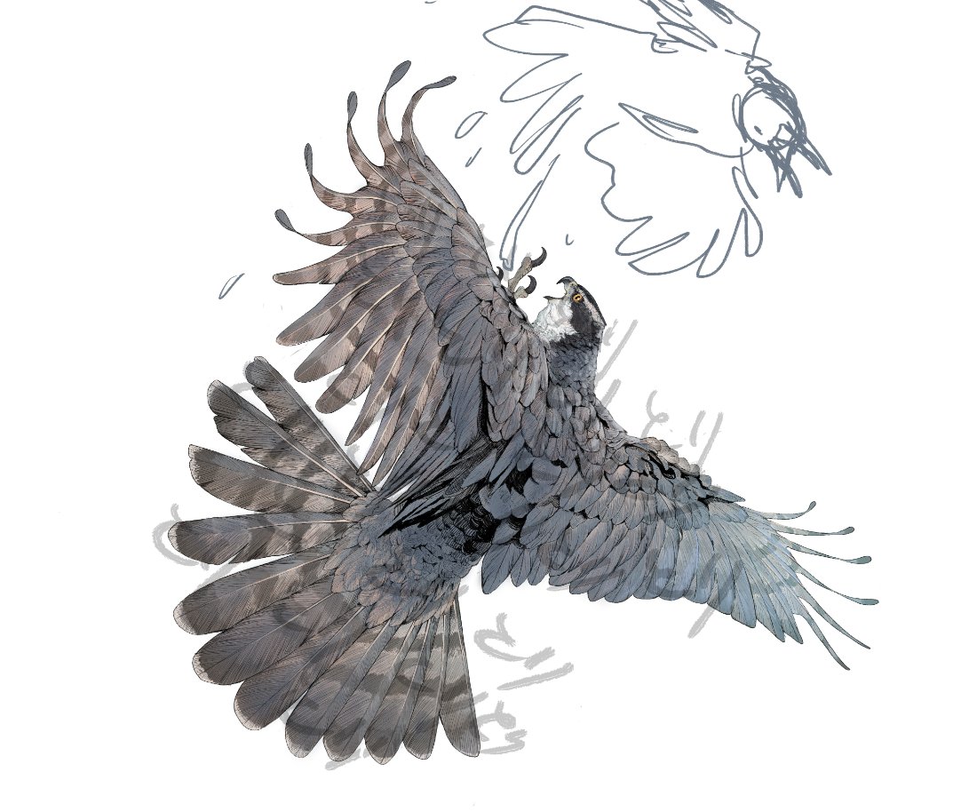 鈴佳スズキ tweet media