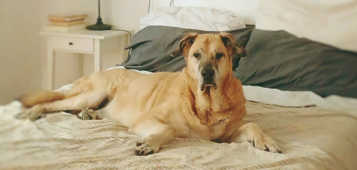 Lore-lay tweet media