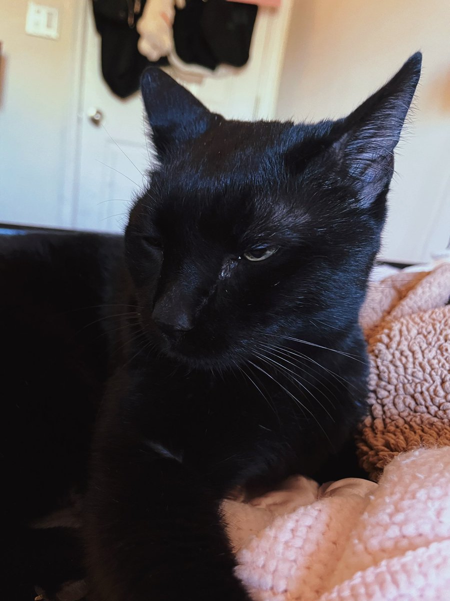 nino egyn ☎️📿 tweet media