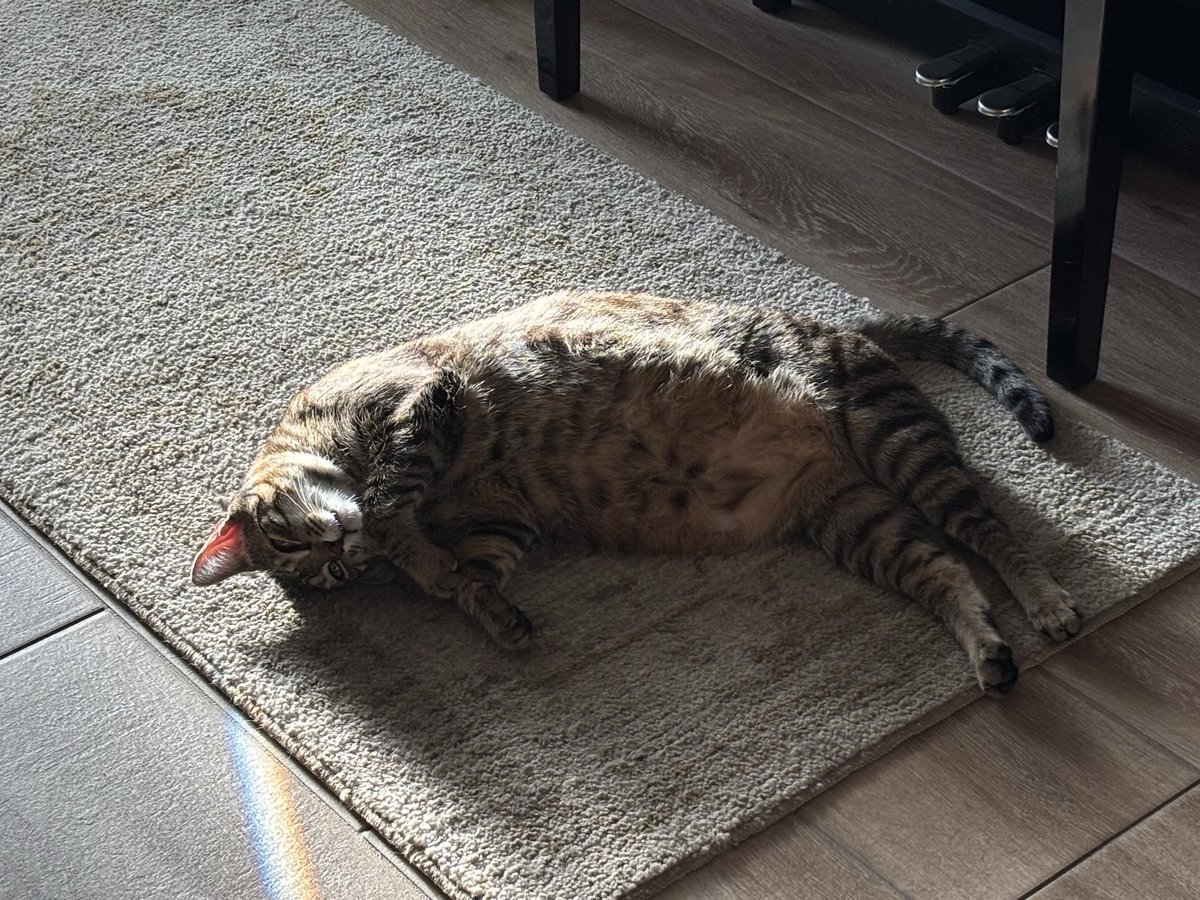 KetoMandy tweet media