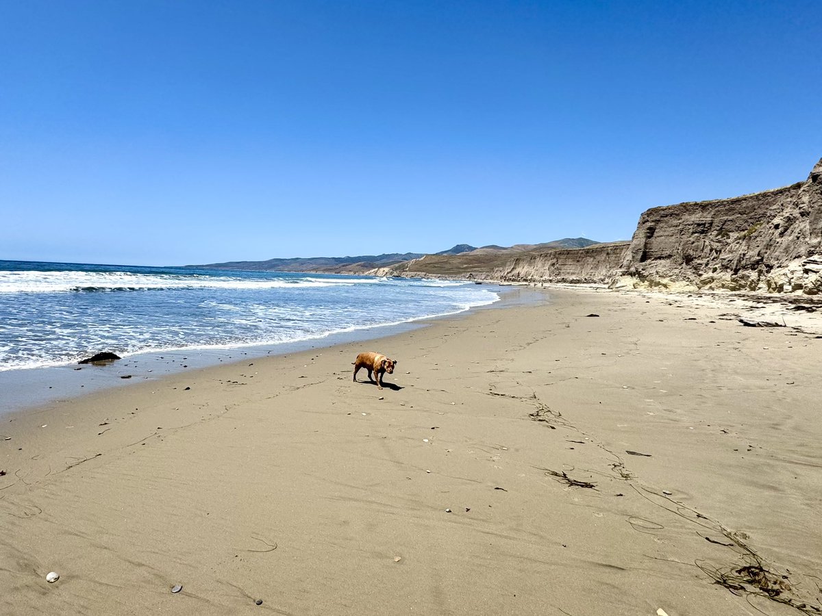 ThePenelopeHere's tweet photo. I’m back! 

I have been in Twitter jail all day. Went to the beach 🏝️ 

What did I miss?? Is he dead? https://t.co/iiObsQrQu9