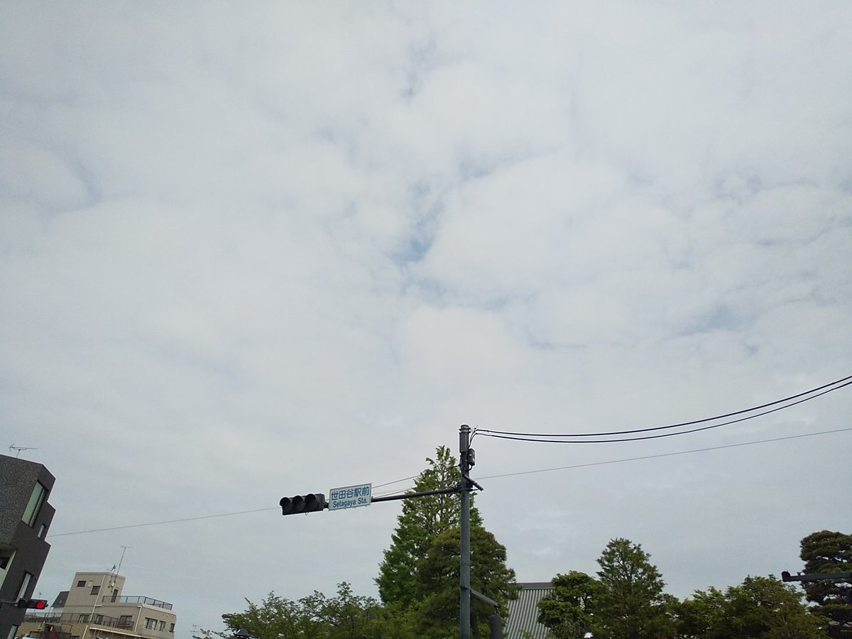 ysb_'s tweet image. 土曜日～

青空覗く曇り空～

ちょい寒ぅ～

本日も楽しくなりそうれす～

20260418～

 #世田谷 #世田谷区 #setagaya